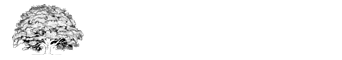 Fatima Group